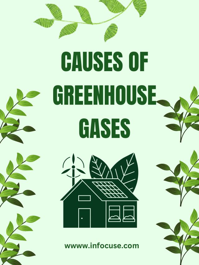 Causes of Greenhouse Effect