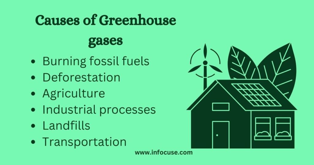 causes of greenhouse gases