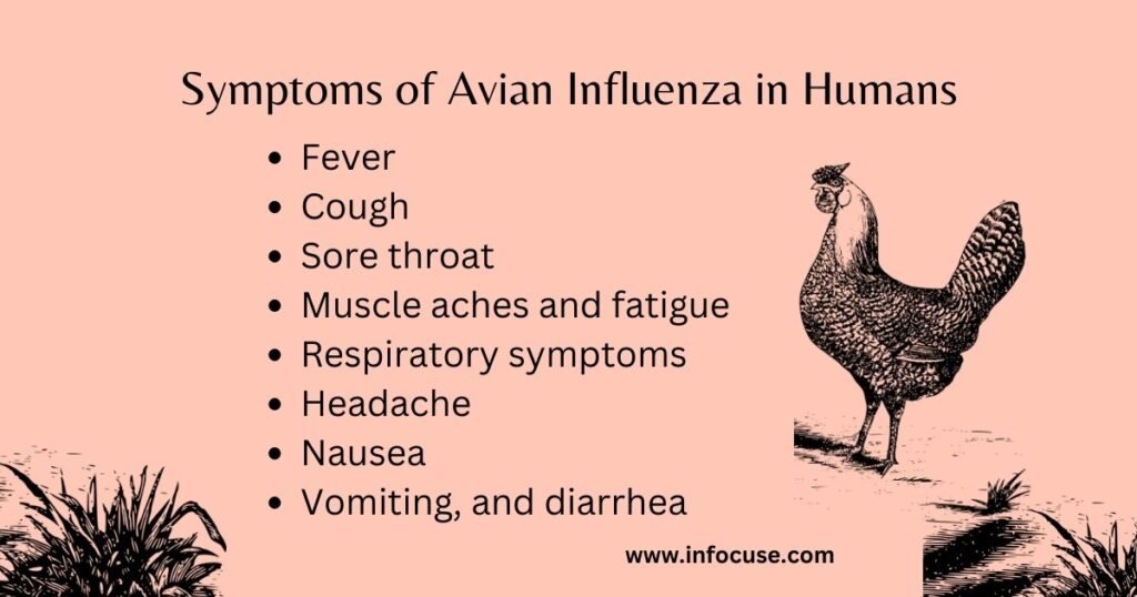 Avian Influenza